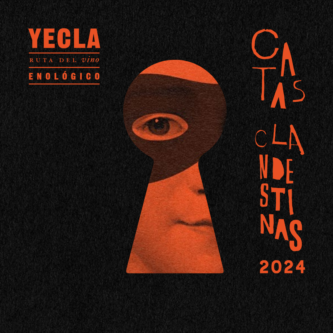 CATAS CLANDESTINAS 2024
