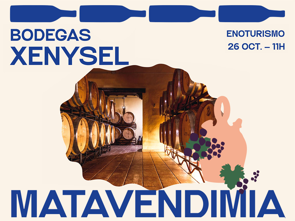 VISITA BODEGAS XENYSEL MATAVENDIMIA JUMILLA - 11H