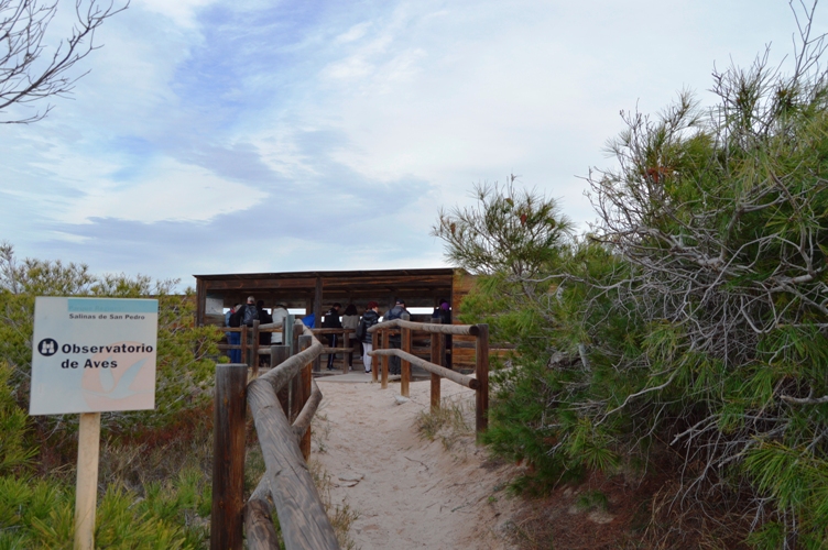 SENDERO DE COTERILLO 