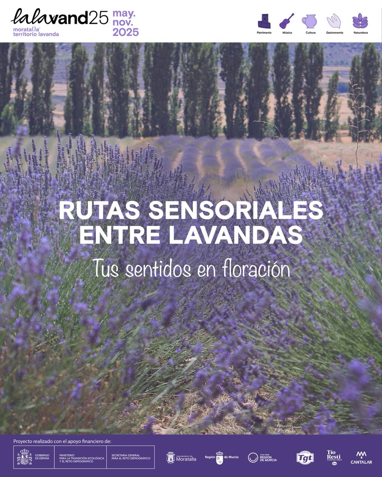 LALAVAND 2025: RUTAS SENSORIALES ENTRE LAVANDAS