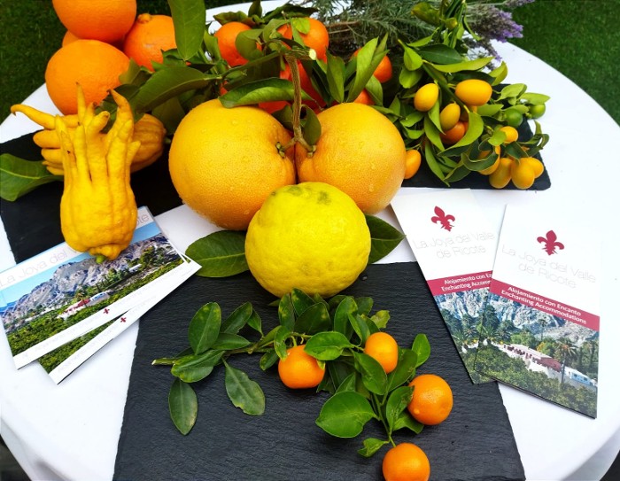 TOUR DE LOS CTRICOS EN LA JOYA DEL VALLE DE RICOTE+MEN AZAHAR EN JARDINES DE VILLANUEVA